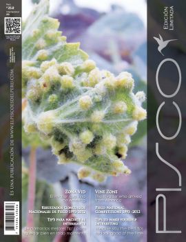 Pisco en PerúQuiosco